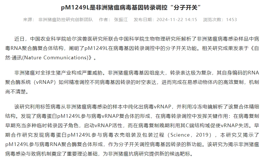 大发现!科学家发现非洲猪瘟病毒感染和致病的关键机制