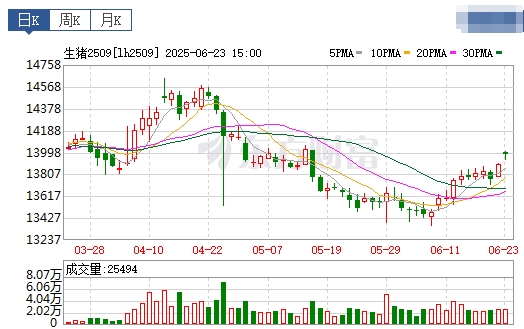 2025.06.24 今天猪价行情——连续4天上涨，广东突破8元大关，国储收储体重要求降至115公斤，头部企业明确降重计划