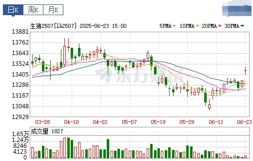 2025.06.24 今天猪价行情——连续4天上涨，广东突破8元大关，国储收储体重要求降至115公斤，头部企业明确降重计划