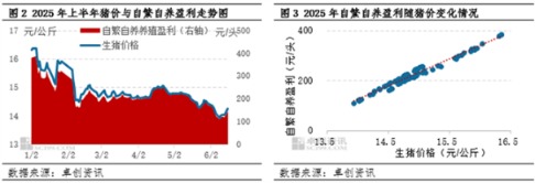 下半年生猪自繁自养仍有盈利空间