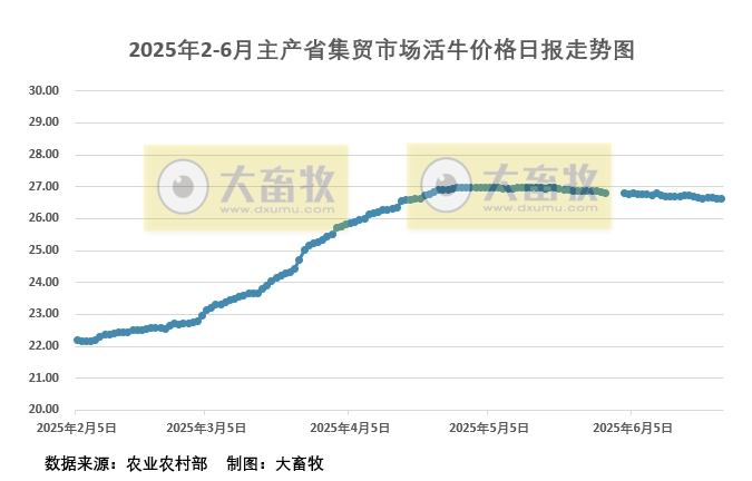 6月24日活牛价格