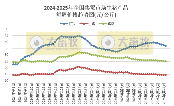 2025.06.26 今天猪价行情——上涨偏多，且涨至6月以来最高价