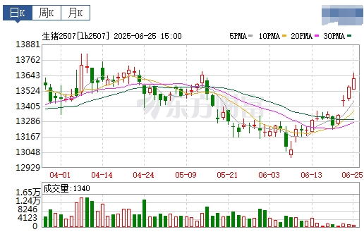 2025.06.26 今天猪价行情——上涨偏多，且涨至6月以来最高价