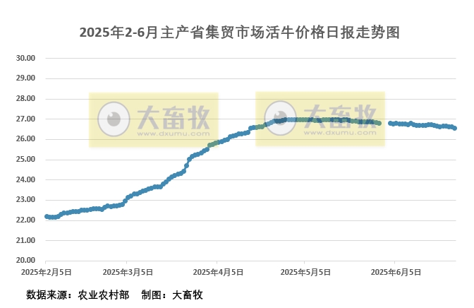 6月25日活牛价格