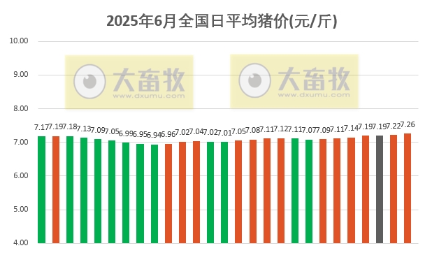 2025.06.27 今天猪价行情——继续上涨，再次突破6月以来最高价