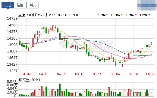 2025.06.27 今天猪价行情——继续上涨，再次突破6月以来最高价