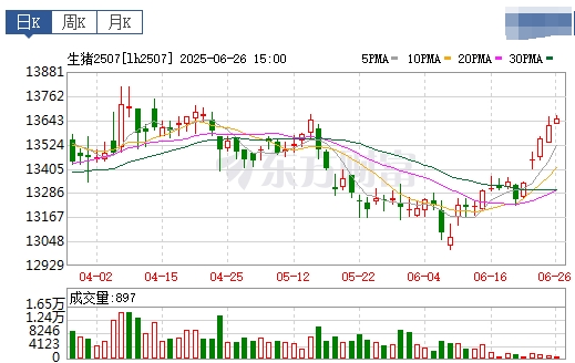 2025.06.27 今天猪价行情——继续上涨，再次突破6月以来最高价