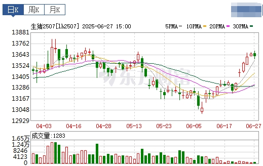 2025.06.28 今天猪价行情——涨幅扩大,且连续3天突破6月以来最高价,生猪处于‘短牛长熊’的格局当中,本轮阶段性涨势可能延续至7月上旬