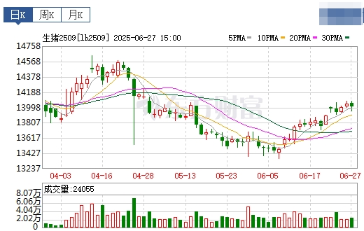 2025.06.28 今天猪价行情——涨幅扩大,且连续3天突破6月以来最高价,生猪处于‘短牛长熊’的格局当中,本轮阶段性涨势可能延续至7月上旬