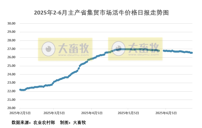 6月27日活牛价格
