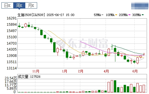 2025.06.29 今天猪价行情——涨幅收窄，7月初南方多数区域生猪出栏计划有限，利于支撑猪价