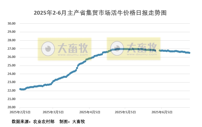 6月28日活牛价格