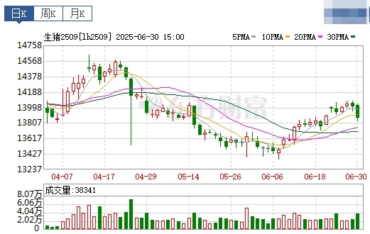 2025.07.01 今天猪价行情——7月开门红,大多数省份出现上涨,广东涨至8.3元,5月能繁母猪存栏环比微增