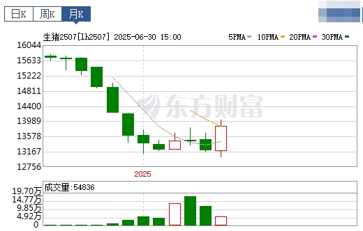 2025.07.01 今天猪价行情——7月开门红,大多数省份出现上涨,广东涨至8.3元,5月能繁母猪存栏环比微增