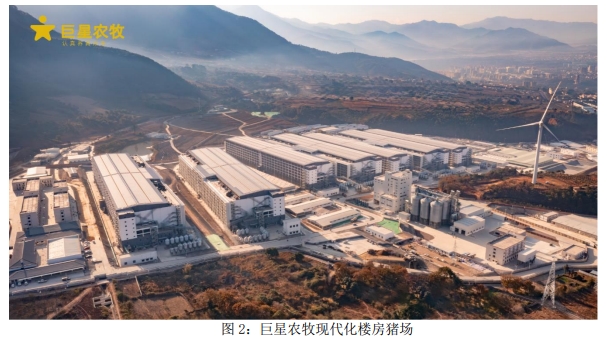 巨星农牧：今年商品猪出栏目标400万头以上，增长幅度超50%，完全成本目标6.5元/斤以内