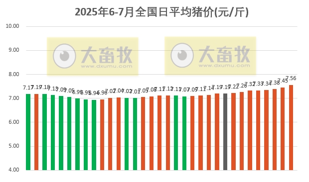 2025.07.03 今天猪价行情——大幅度上涨，涨至近5个月最高，广东暴涨到8.7元