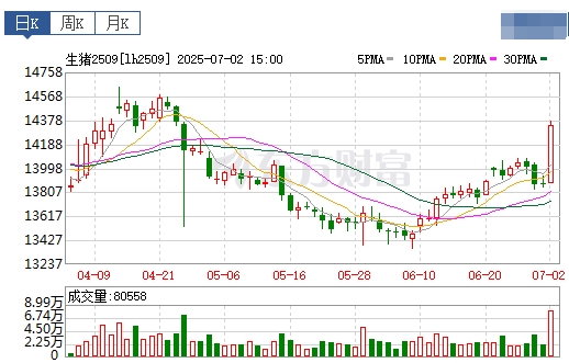 2025.07.03 今天猪价行情——大幅度上涨，涨至近5个月最高，广东暴涨到8.7元