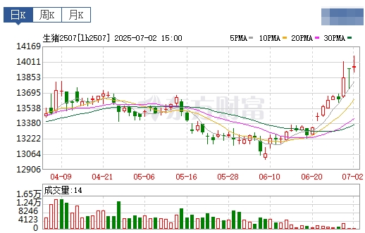 2025.07.03 今天猪价行情——大幅度上涨，涨至近5个月最高，广东暴涨到8.7元