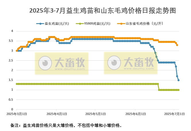 2025年7月4日益生鸡苗行情资讯