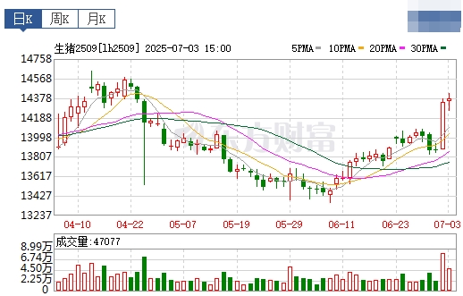 2025.07.04 今天猪价行情——连续9天上涨，广东涨至8.9元，机构预计下半年生猪均价7-8元/斤