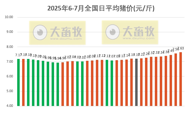 2025.07.04 今天猪价行情——连续9天上涨，广东涨至8.9元，机构预计下半年生猪均价7-8元/斤