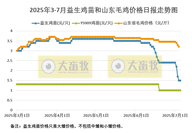 2025年7月5日益生鸡苗行情资讯