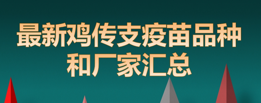 最新鸡传支疫苗品种和厂家汇总（2024年版）