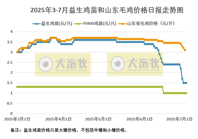 2025年7月6日益生鸡苗行情资讯