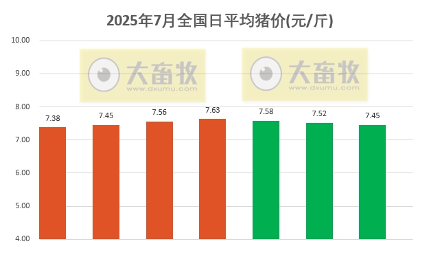 2025.07.07 今天猪价行情——连续3天下跌，发改委生猪政策持续落实，2025-2026年猪价有望超预期