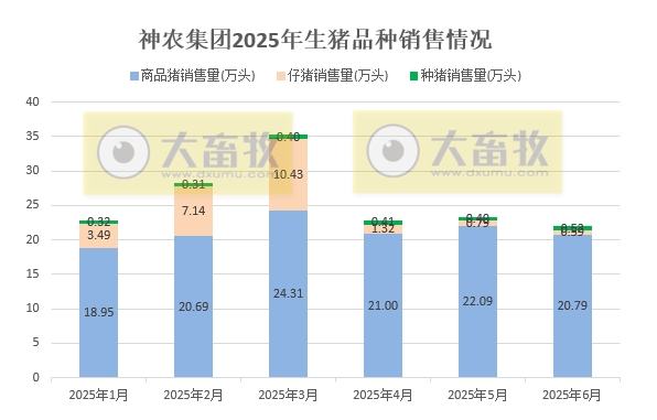 神农集团2025年6月及上半年生猪销售情况，6月销量为今年最少，但销售给内部屠宰企业的数量创历史新高