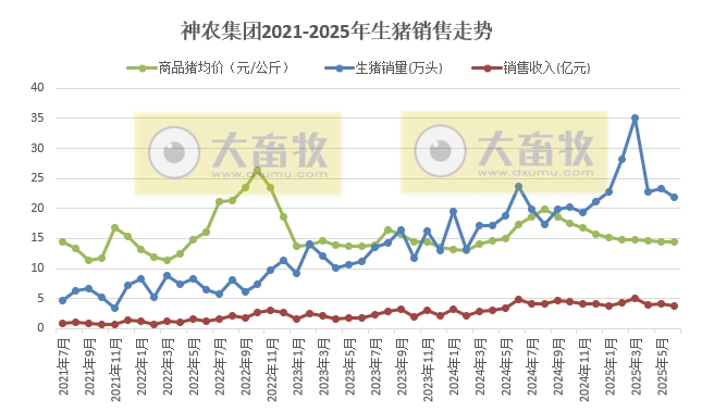 神农集团2025年6月及上半年生猪销售情况，6月销量为今年最少，但销售给内部屠宰企业的数量创历史新高