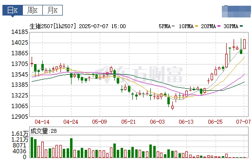 2025.07.08 今天猪价行情——连续4天下跌，但跌幅收窄，国家层面释放“反内卷”政策，三季度猪价存在强支撑