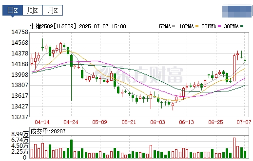 2025.07.08 今天猪价行情——连续4天下跌，但跌幅收窄，国家层面释放“反内卷”政策，三季度猪价存在强支撑