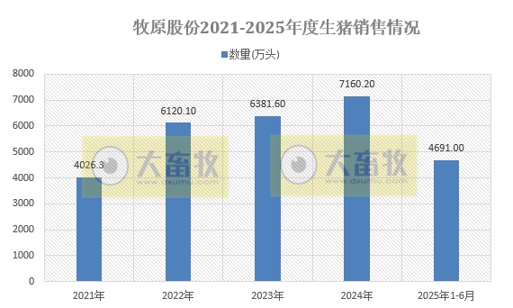牧原上半年净利最高107亿元增长近12倍，生猪销量4691万头增45%，其中仔猪销量超800万头，能繁母猪存栏量继续下降