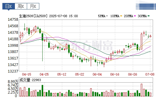 2025.07.09 今天猪价行情——止跌上涨