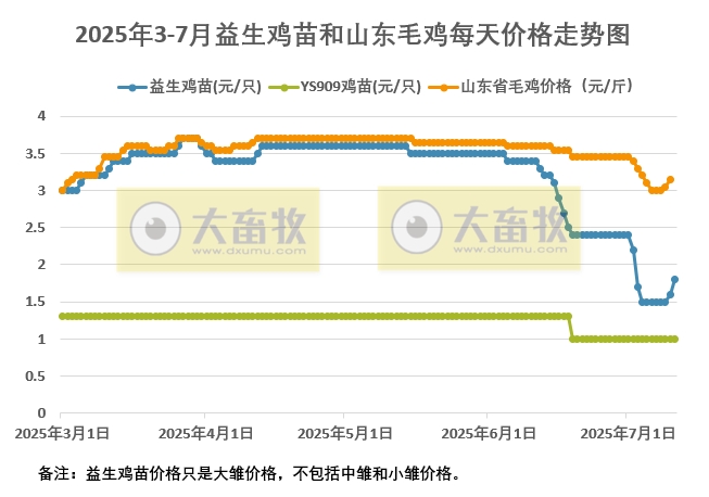 2025年7月11日益生鸡苗和山东毛鸡行情资讯