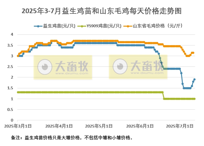 2025年7月12日益生鸡苗和山东毛鸡行情资讯