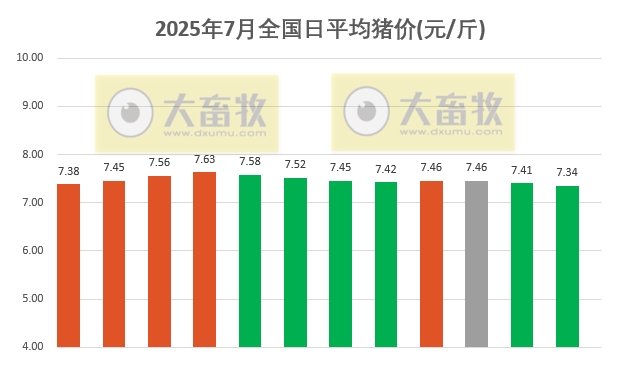 2025.07.12 今天猪价行情——大多数继续下跌，且跌至7月以来最低价，7月计划出栏量预计环比有所回升