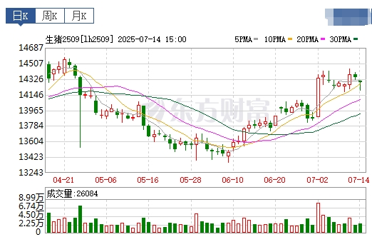 2025.07.15 今天猪价行情——下跌省份增多，发改委生猪政策正持续严格落实，主要上市猪企生猪销售均重下降