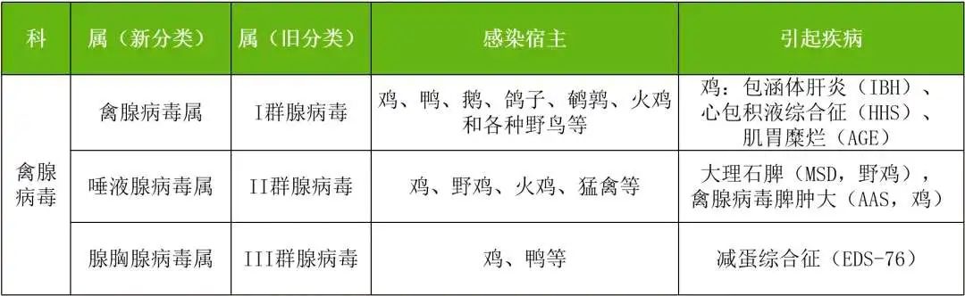 禽腺病毒的流行特点与发展趋势