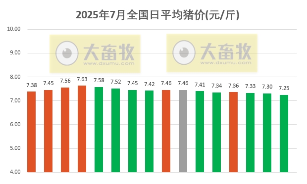2025.07.16 今天猪价行情——大多数省份出现下跌，发改委表示猪价波动有限，上半年生猪出栏3.66亿头增0.6%，23家上市猪企生猪销量占30%