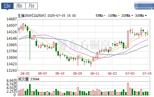 2025.07.16 今天猪价行情——大多数省份出现下跌，发改委表示猪价波动有限，上半年生猪出栏3.66亿头增0.6%，23家上市猪企生猪销量占30%