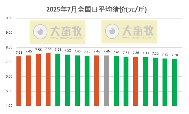 2025.07.17 今天猪价行情——大多数继续下跌，且连续4天下跌，生猪产能充足的状况没有明显改观；仔猪价格连续9周下跌