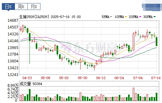 2025.07.17 今天猪价行情——大多数继续下跌，且连续4天下跌，生猪产能充足的状况没有明显改观；仔猪价格连续9周下跌