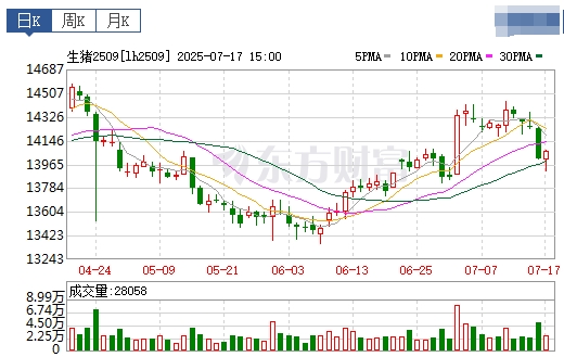 2025.07.18 今天猪价行情分析