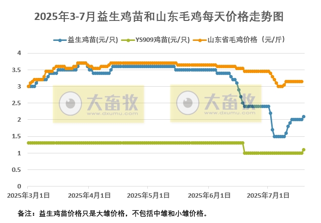 2025年7月19日益生鸡苗和山东毛鸡行情资讯