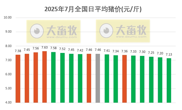 2025.07.18 今天猪价行情分析