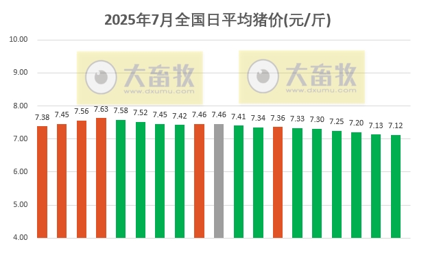 2025.07.19 今天猪价行情分析