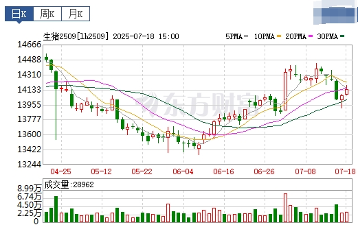 2025.07.19 今天猪价行情分析