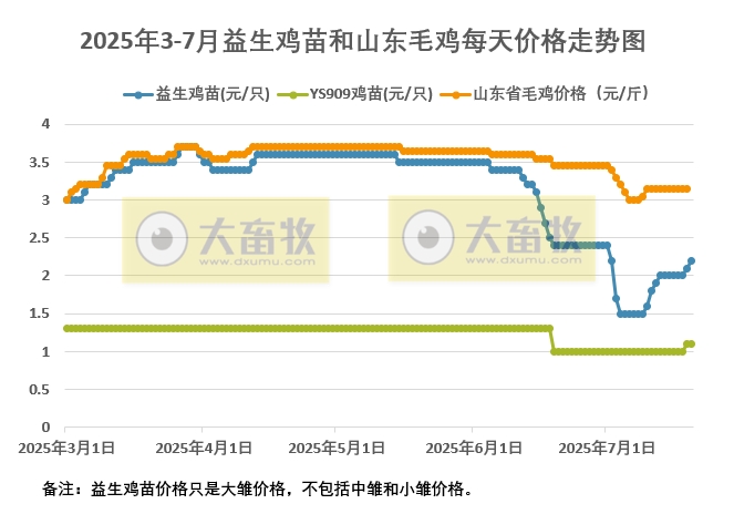 2025年7月20日益生鸡苗和山东毛鸡行情资讯